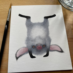 Bruno- Unframed Watercolour Painting