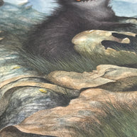 Precious Artifacts - Unframed Watercolour Painting