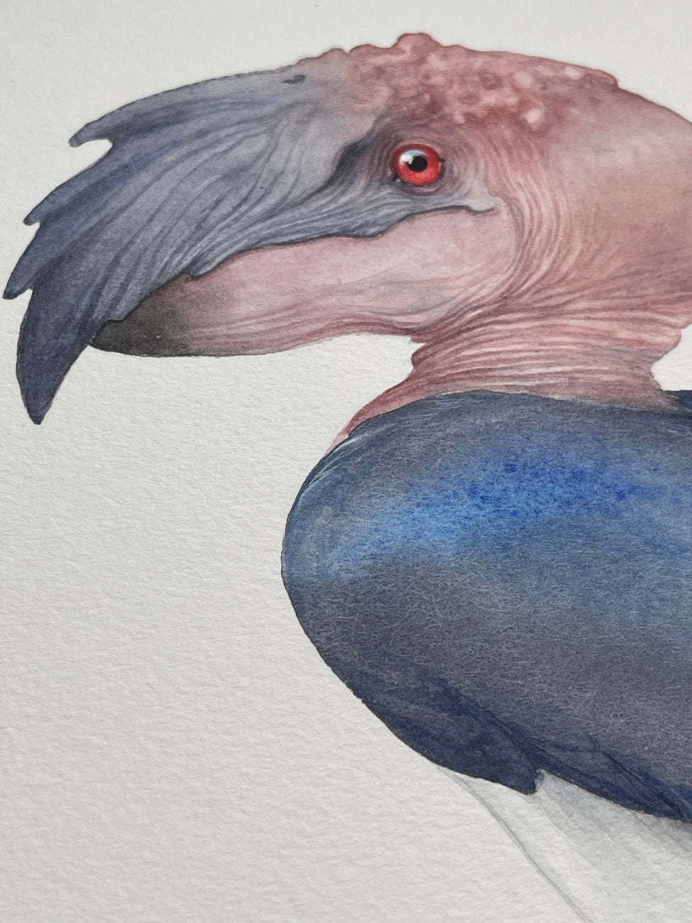 Ukarask Bird - Unframed Watercolour Painting