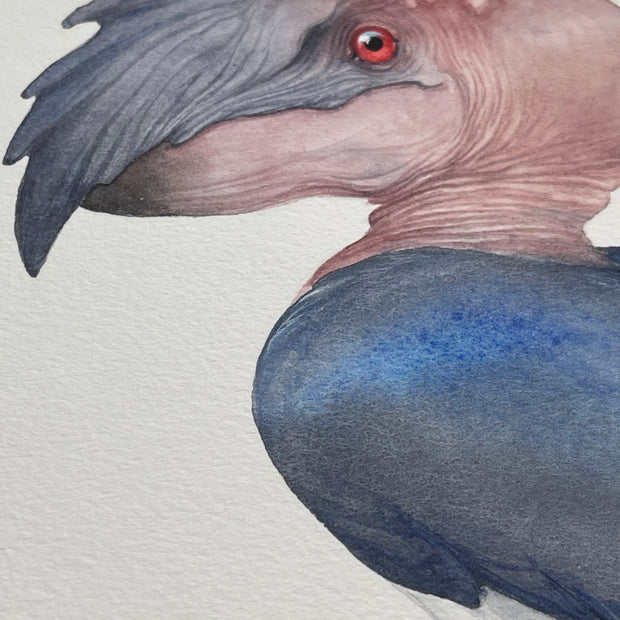Ukarask Bird - Unframed Watercolour Painting