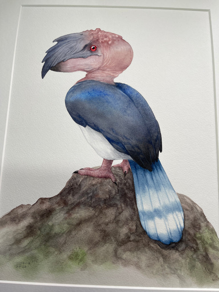 Ukarask Bird - Unframed Watercolour Painting