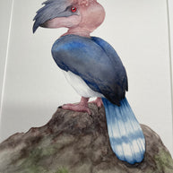 Ukarask Bird - Unframed Watercolour Painting