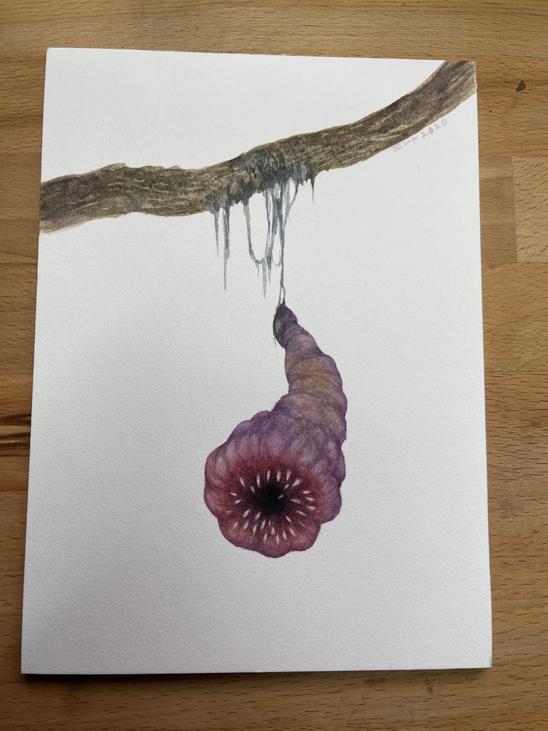 A Ghorrible - Unframed Watercolour Painting