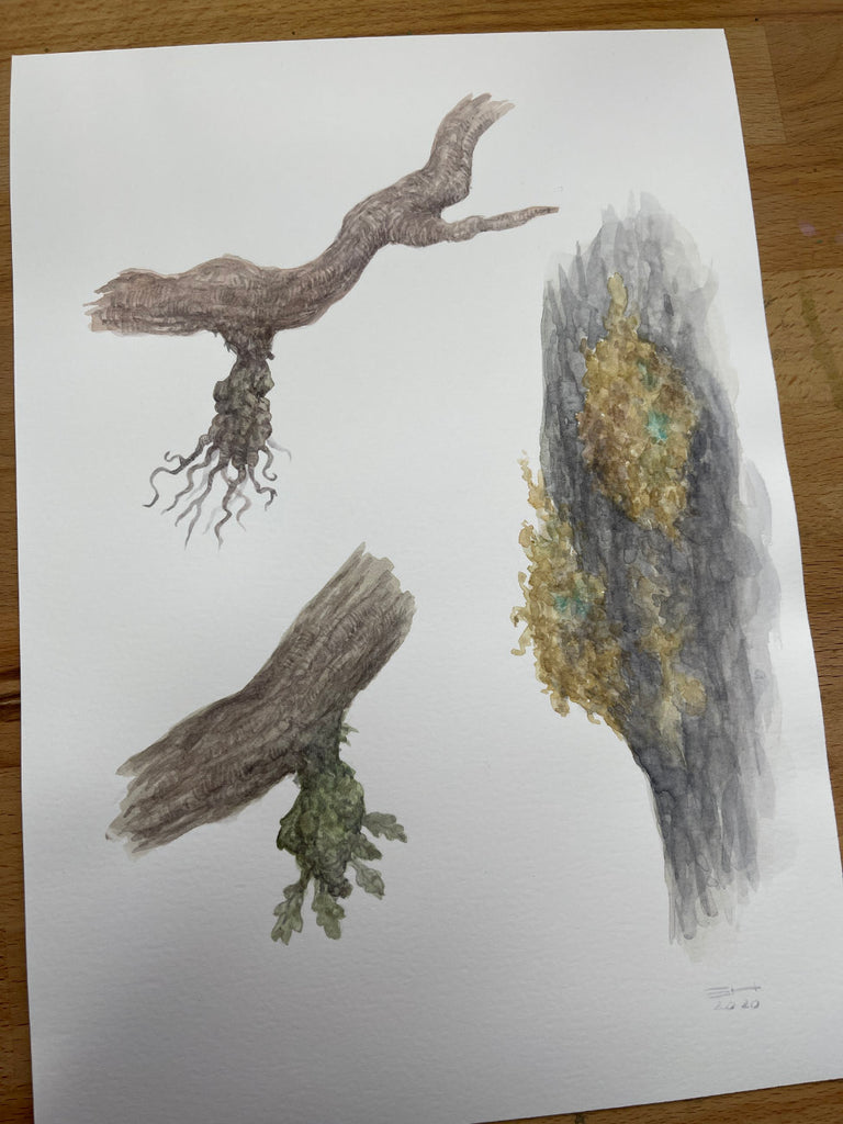 Tree Fairy Chrysalis - Unframed Watercolour Painting