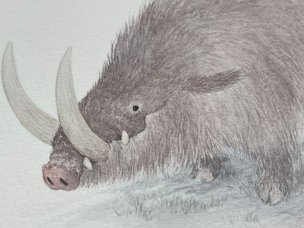 The Great Northern Boar - Unframed Watercolour Painting