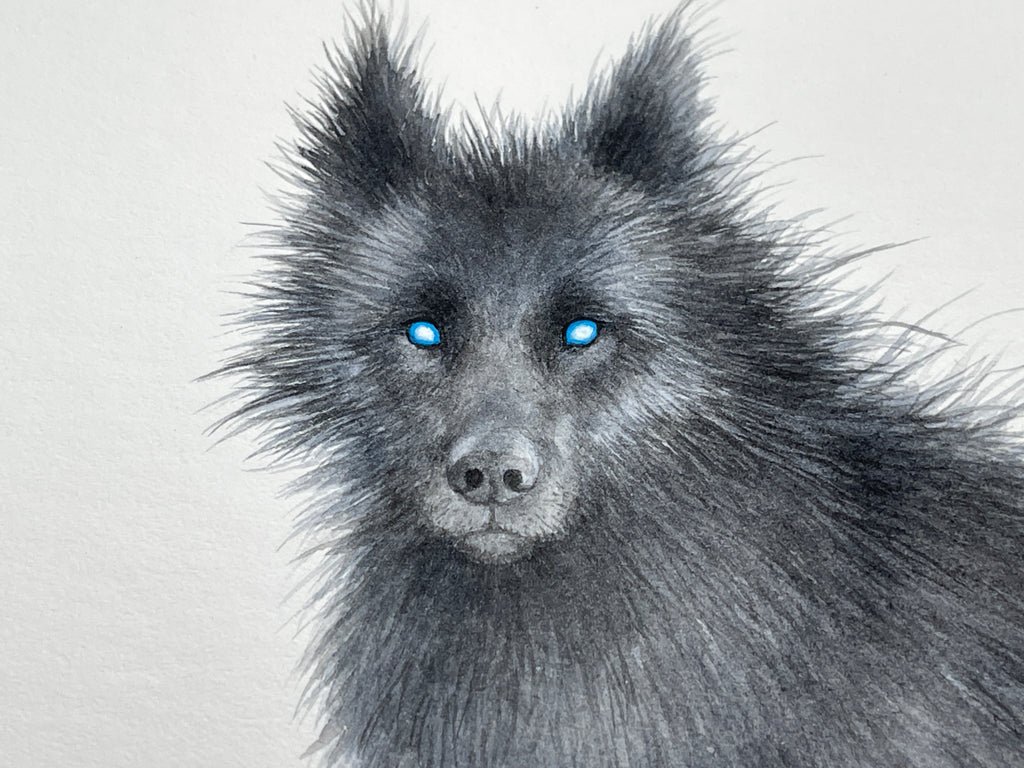 Shadow Wolf - Unframed Watercolour Painting