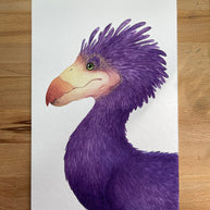 The Great Purple Balaap - Unframed Watercolour Painting