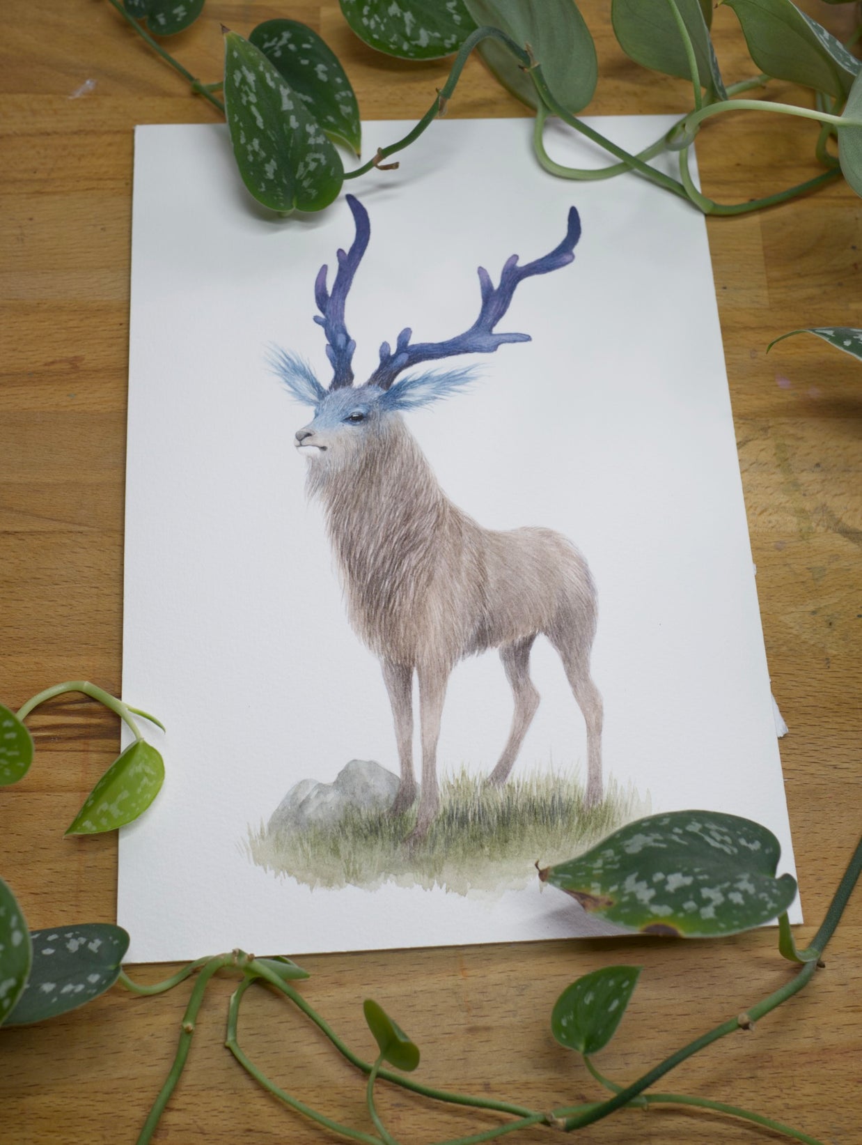 Blue-Eared Forest Deer - Unframed Watercolour Painting