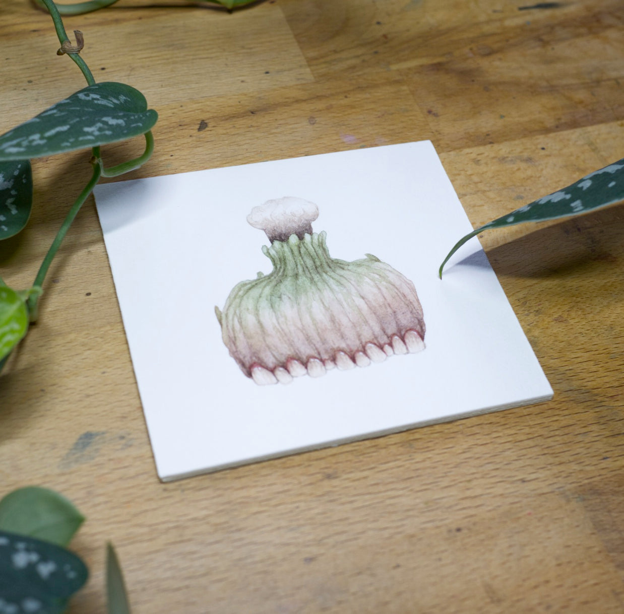 Magical Potion Originals - Unframed Watercolour Paintings