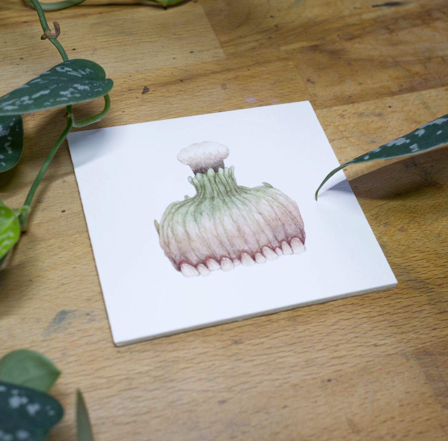 Magical Potion Originals - Unframed Watercolour Paintings