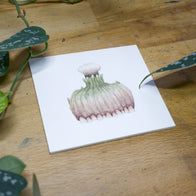 Magical Potion Originals - Unframed Watercolour Paintings
