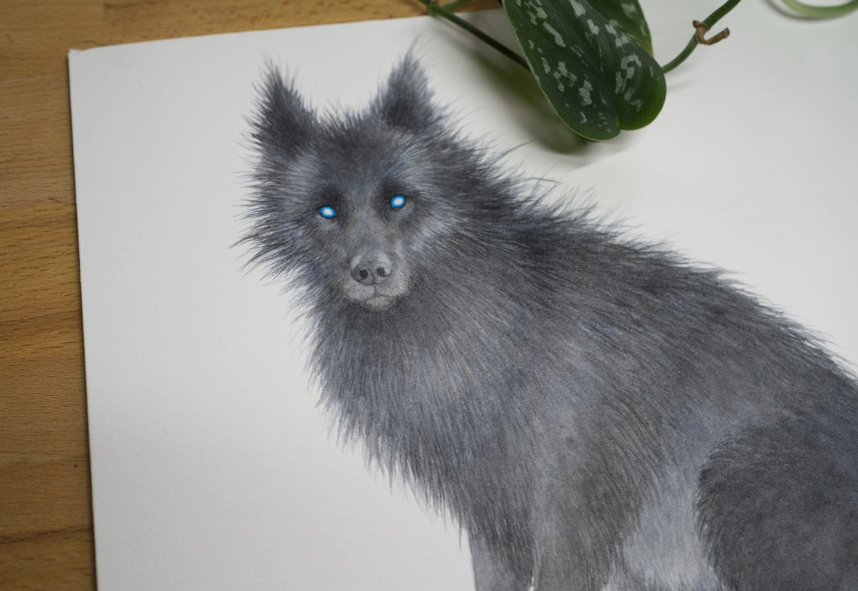 Shadow Wolf - Unframed Watercolour Painting