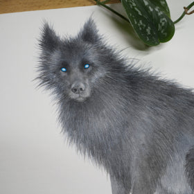 Shadow Wolf - Unframed Watercolour Painting