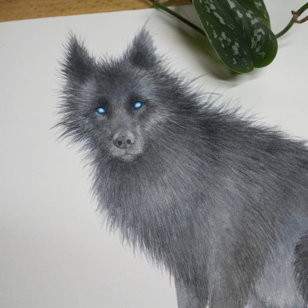 Shadow Wolf - Unframed Watercolour Painting