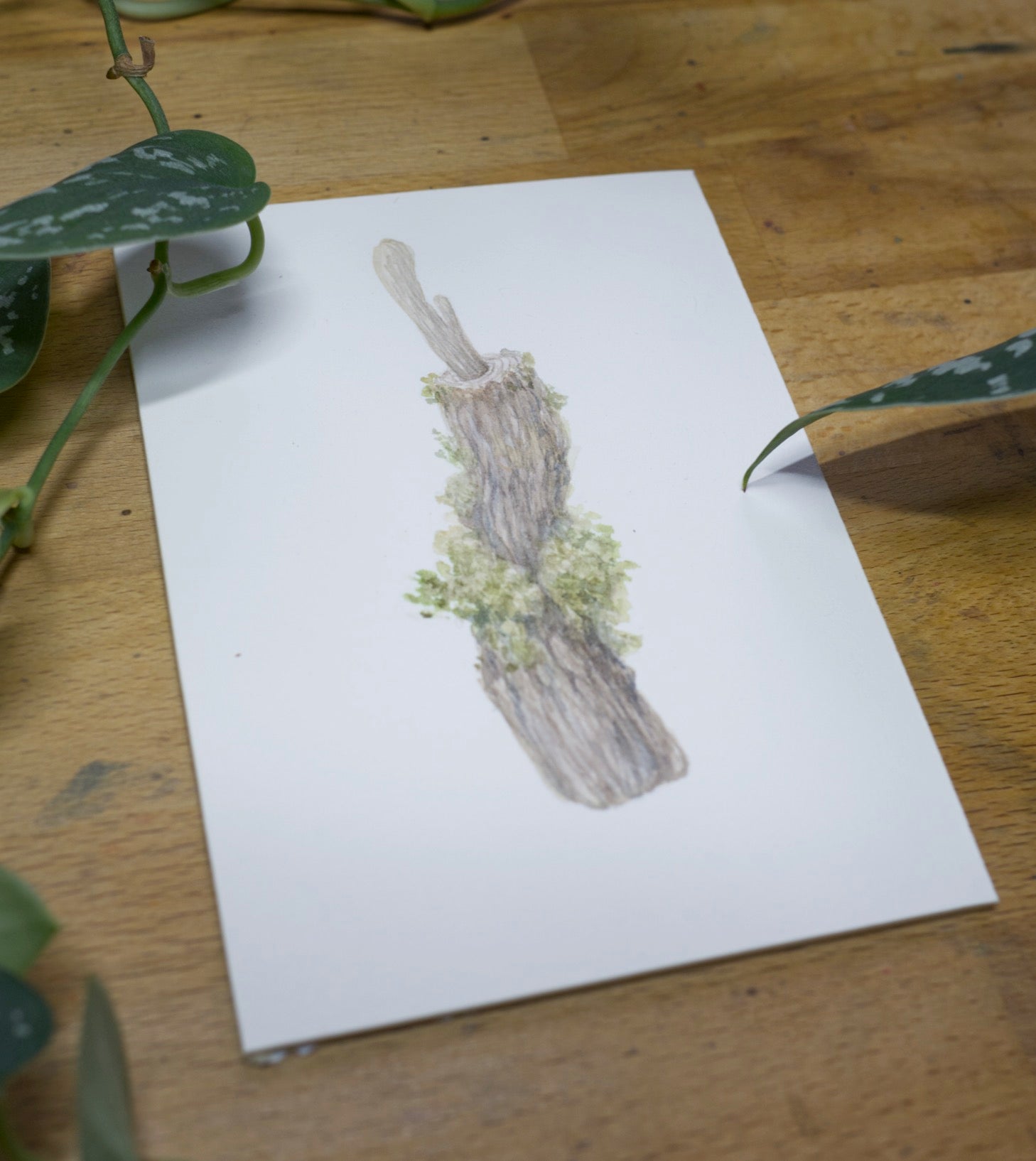 Magical Potion Originals - Unframed Watercolour Paintings