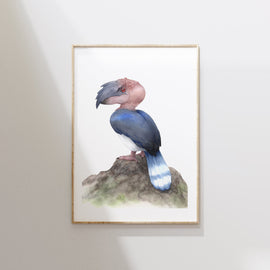 Ukarask Bird - Unframed Watercolour Painting