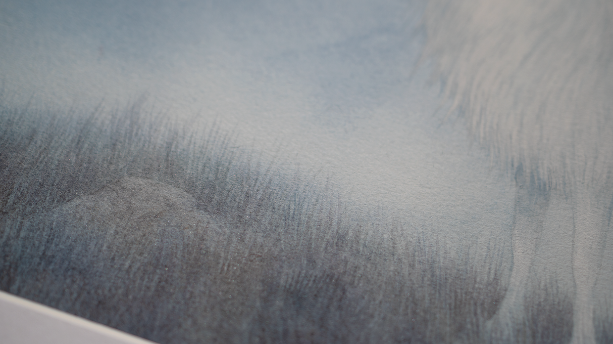 The Call - Unframed Watercolour Painting