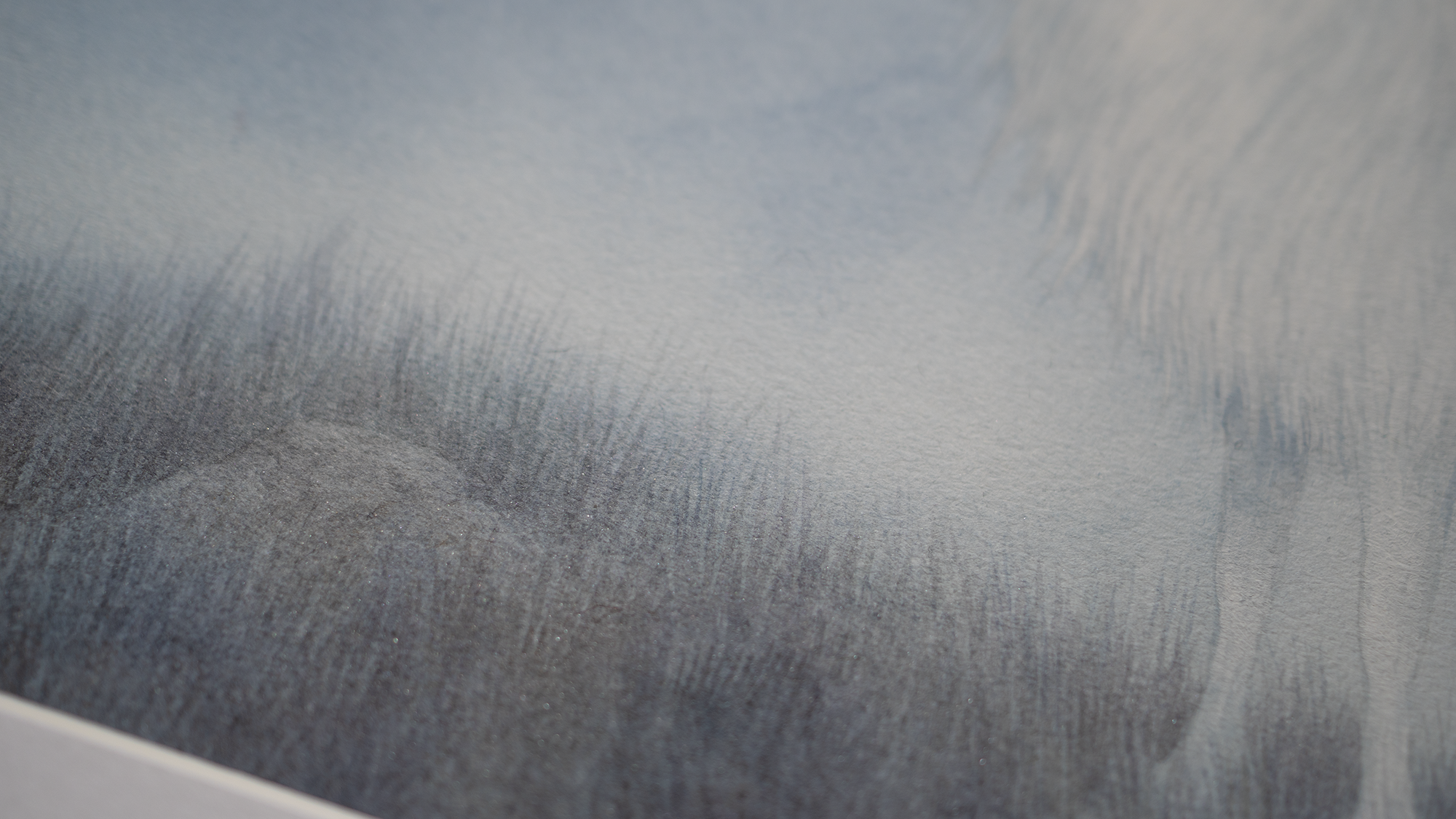 The Call - Unframed Watercolour Painting