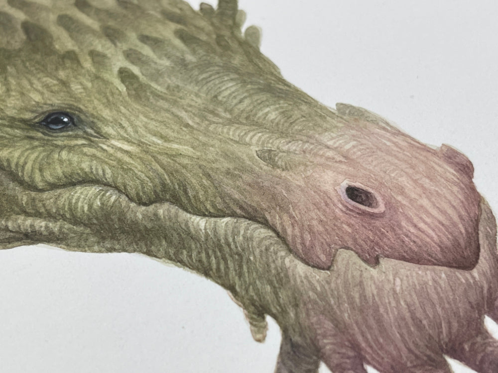 The Wood Dragon - Unframed Watercolour Painting