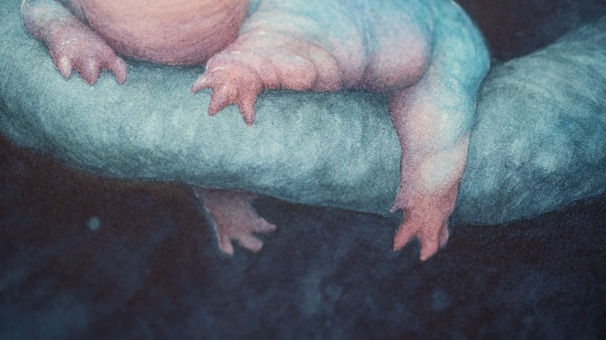Froad - Unframed Watercolour Painting