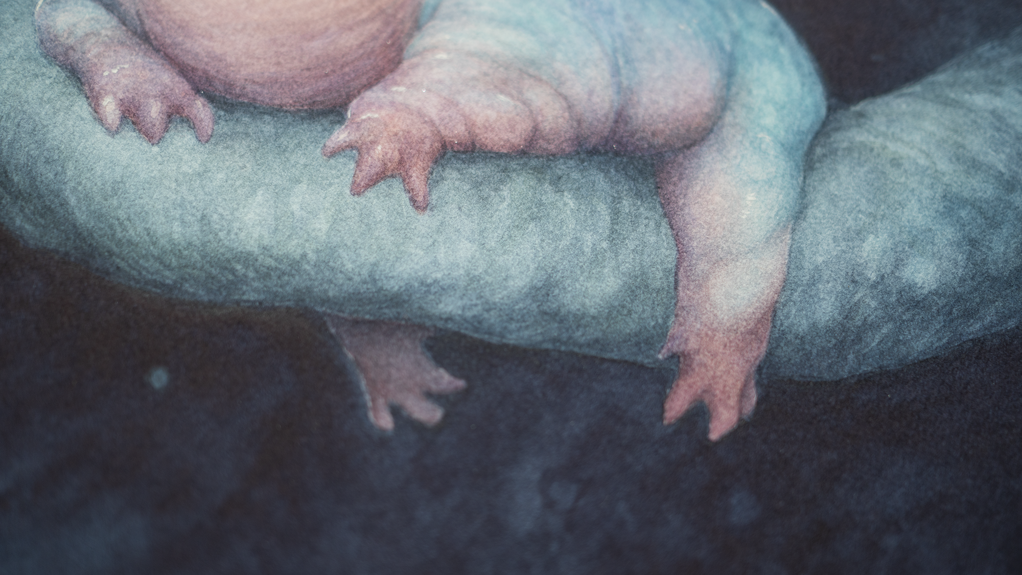 Froad - Unframed Watercolour Painting