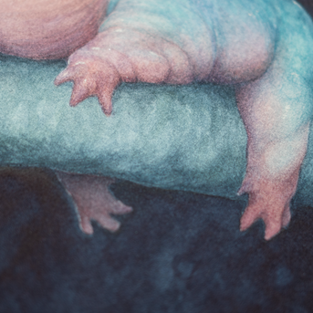 Froad - Unframed Watercolour Painting