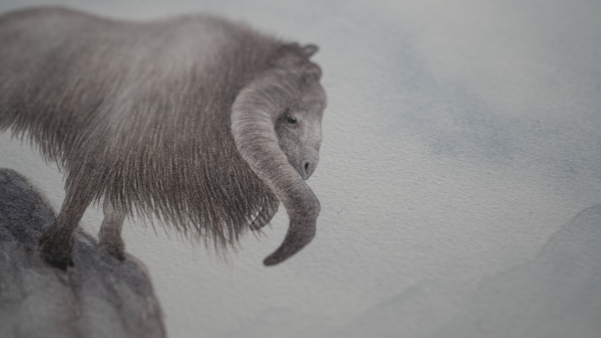 The Gorok - Unframed Watercolour Painting
