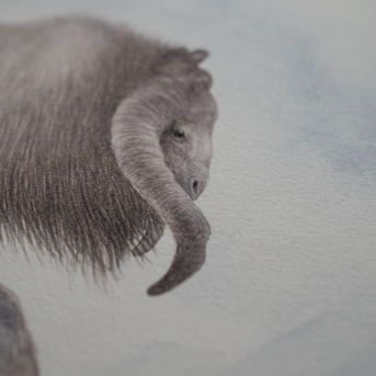 The Gorok - Unframed Watercolour Painting