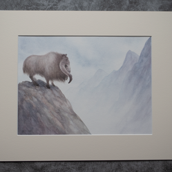 The Gorok - Unframed Watercolour Painting
