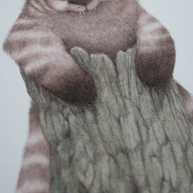 The Grutton - Unframed Watercolour Painting