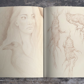 Artpothecary Volume 1