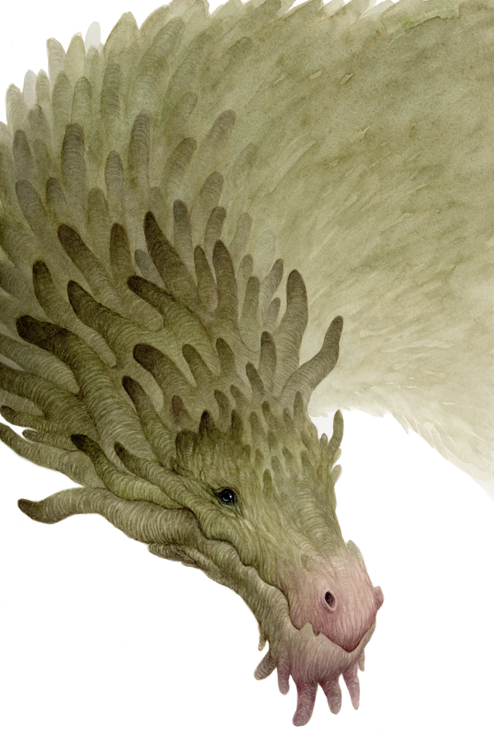 The Wood Dragon - Unframed Watercolour Painting